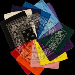 Paisley printed multi-color Bandanas